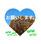 お疲れ様、お疲れ様。日本の紅葉季節は和む（個別スタンプ：14）