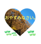 お疲れ様、お疲れ様。日本の紅葉季節は和む（個別スタンプ：15）