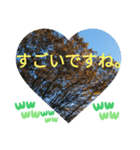 お疲れ様、お疲れ様。日本の紅葉季節は和む（個別スタンプ：18）