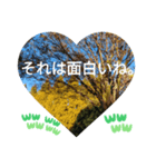 お疲れ様、お疲れ様。日本の紅葉季節は和む（個別スタンプ：19）