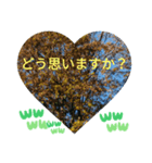 お疲れ様、お疲れ様。日本の紅葉季節は和む（個別スタンプ：21）