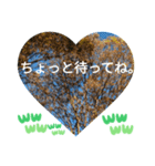 お疲れ様、お疲れ様。日本の紅葉季節は和む（個別スタンプ：24）