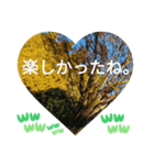 お疲れ様、お疲れ様。日本の紅葉季節は和む（個別スタンプ：26）