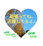 お疲れ様、お疲れ様。日本の紅葉季節は和む（個別スタンプ：32）