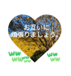 お疲れ様、お疲れ様。日本の紅葉季節は和む（個別スタンプ：37）