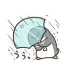 よいこくまのペンギンです（個別スタンプ：23）