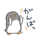 よいこくまのペンギンです（個別スタンプ：24）