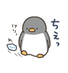 よいこくまのペンギンです（個別スタンプ：34）