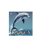 イルカさんの気持ち（個別スタンプ：2）