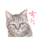 いつだってお猫様（個別スタンプ：9）