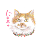 いつだってお猫様（個別スタンプ：10）