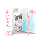 いつだってお猫様（個別スタンプ：27）