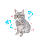 いつだってお猫様（個別スタンプ：30）