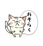 ハッキリ言えない猫（個別スタンプ：5）