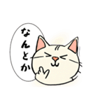 ハッキリ言えない猫（個別スタンプ：7）