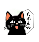 ハッキリ言えない猫（個別スタンプ：18）