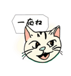 ハッキリ言えない猫（個別スタンプ：23）