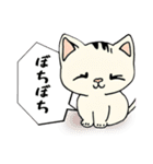 ハッキリ言えない猫（個別スタンプ：24）