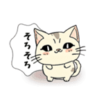 ハッキリ言えない猫（個別スタンプ：25）