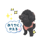 黒トイ詩ちゃん（個別スタンプ：5）