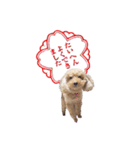 ちまちゃんLINEスタンプ（個別スタンプ：1）