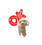 ちまちゃんLINEスタンプ（個別スタンプ：4）