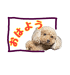 ちまちゃんLINEスタンプ（個別スタンプ：7）