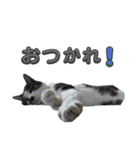 れおちゃんをスタンプにしました2（個別スタンプ：13）
