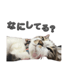 れおちゃんをスタンプにしました2（個別スタンプ：20）