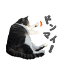 れおちゃんをスタンプにしました2（個別スタンプ：25）