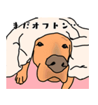盲導犬支援スタンプ3弾 使える⁉︎日常会話（個別スタンプ：4）
