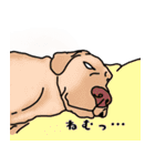 盲導犬支援スタンプ3弾 使える⁉︎日常会話（個別スタンプ：5）