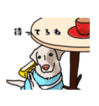 盲導犬支援スタンプ3弾 使える⁉︎日常会話（個別スタンプ：9）