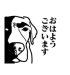 盲導犬支援スタンプ3弾 使える⁉︎日常会話（個別スタンプ：16）