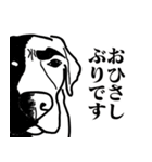 盲導犬支援スタンプ3弾 使える⁉︎日常会話（個別スタンプ：17）