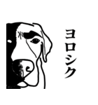 盲導犬支援スタンプ3弾 使える⁉︎日常会話（個別スタンプ：18）