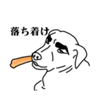 盲導犬支援スタンプ3弾 使える⁉︎日常会話（個別スタンプ：20）