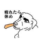 盲導犬支援スタンプ3弾 使える⁉︎日常会話（個別スタンプ：21）