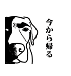 盲導犬支援スタンプ3弾 使える⁉︎日常会話（個別スタンプ：23）
