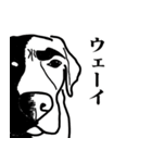 盲導犬支援スタンプ3弾 使える⁉︎日常会話（個別スタンプ：25）