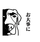 盲導犬支援スタンプ3弾 使える⁉︎日常会話（個別スタンプ：26）