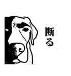 盲導犬支援スタンプ3弾 使える⁉︎日常会話（個別スタンプ：27）