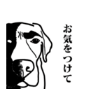 盲導犬支援スタンプ3弾 使える⁉︎日常会話（個別スタンプ：28）