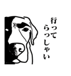盲導犬支援スタンプ3弾 使える⁉︎日常会話（個別スタンプ：29）