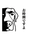 盲導犬支援スタンプ3弾 使える⁉︎日常会話（個別スタンプ：30）
