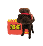 トイプードルーポップコーン（個別スタンプ：3）