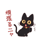 黒猫⭐ベルの日常2（個別スタンプ：24）