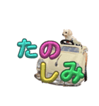ペロ子とぽんすけ（個別スタンプ：6）