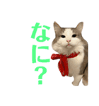 レーヴェさん（個別スタンプ：2）