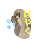 レーヴェさん（個別スタンプ：14）
